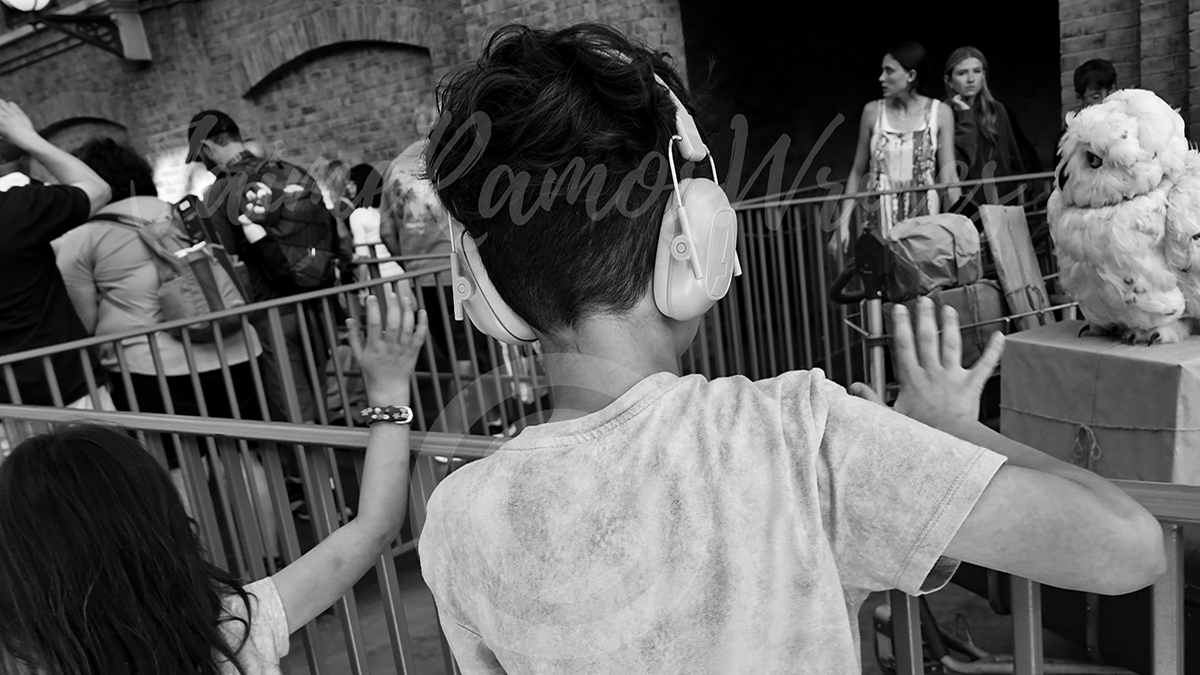 It’s Not a Tantrum: Understanding Autism and Emotional&nbsp;Regulation